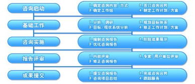 中为咨询 以专业品质服务承载客户价值的卓越信息咨询之道